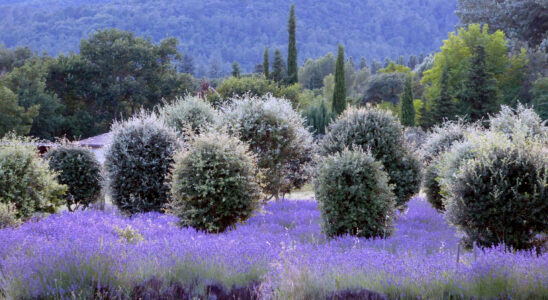 Choisissez ce façadier pour avoir une maison provençale