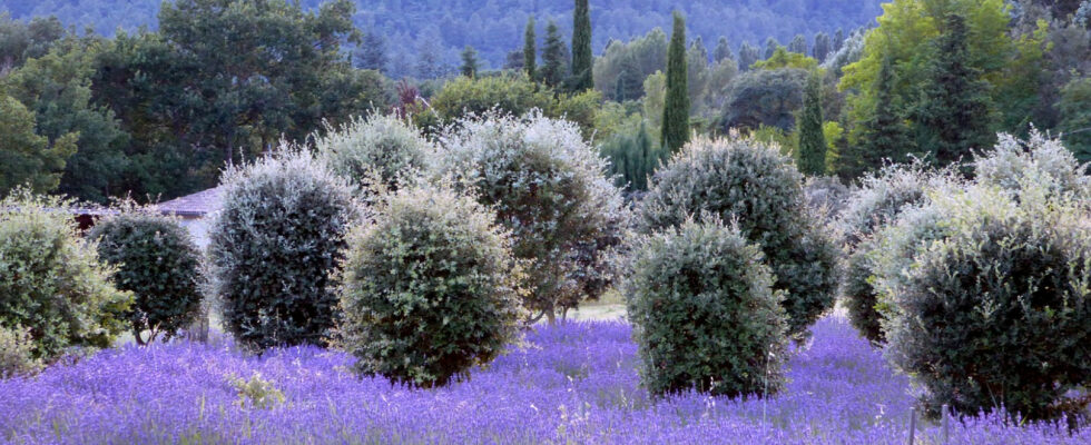 Choisissez ce façadier pour avoir une maison provençale